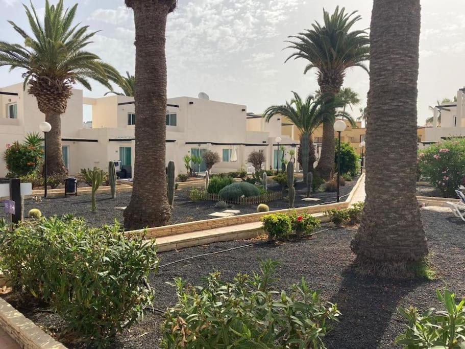 Corralejo Suite Pool & Gardens - Alisios Playa ภายนอก รูปภาพ