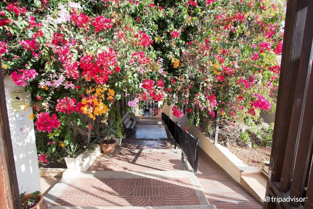 Corralejo Suite Pool & Gardens - Alisios Playa ภายนอก รูปภาพ