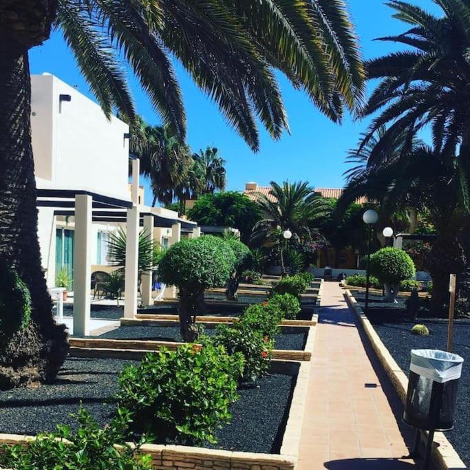 Corralejo Suite Pool & Gardens - Alisios Playa ภายนอก รูปภาพ